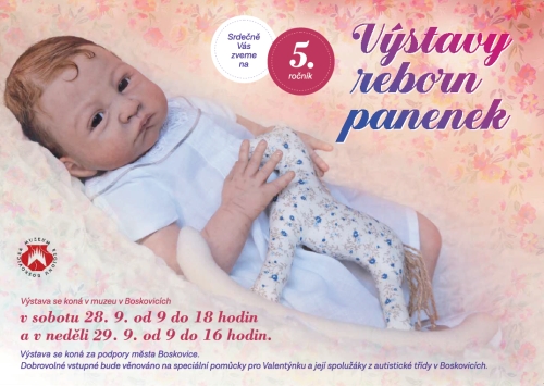 Výstava reborn panenek